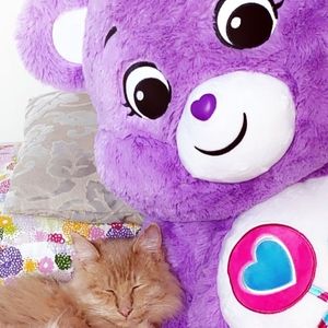 Meet your Posher, Fari.